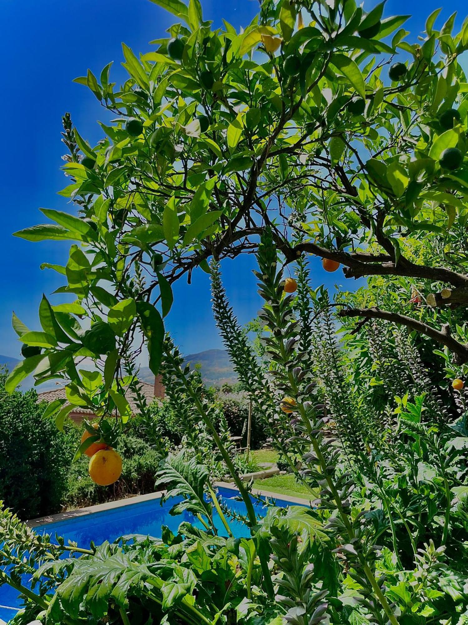 La Kamareta De Chite Holiday home *